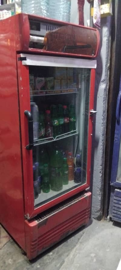Fridge for shop