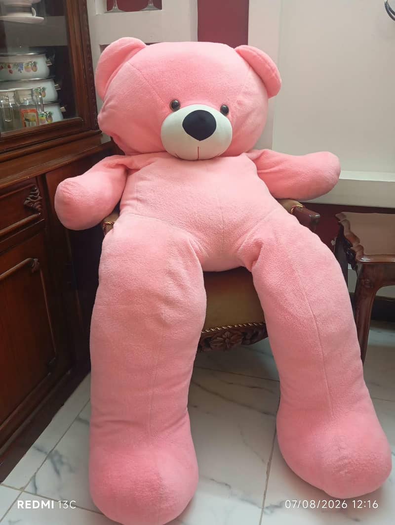Teady Bear 1