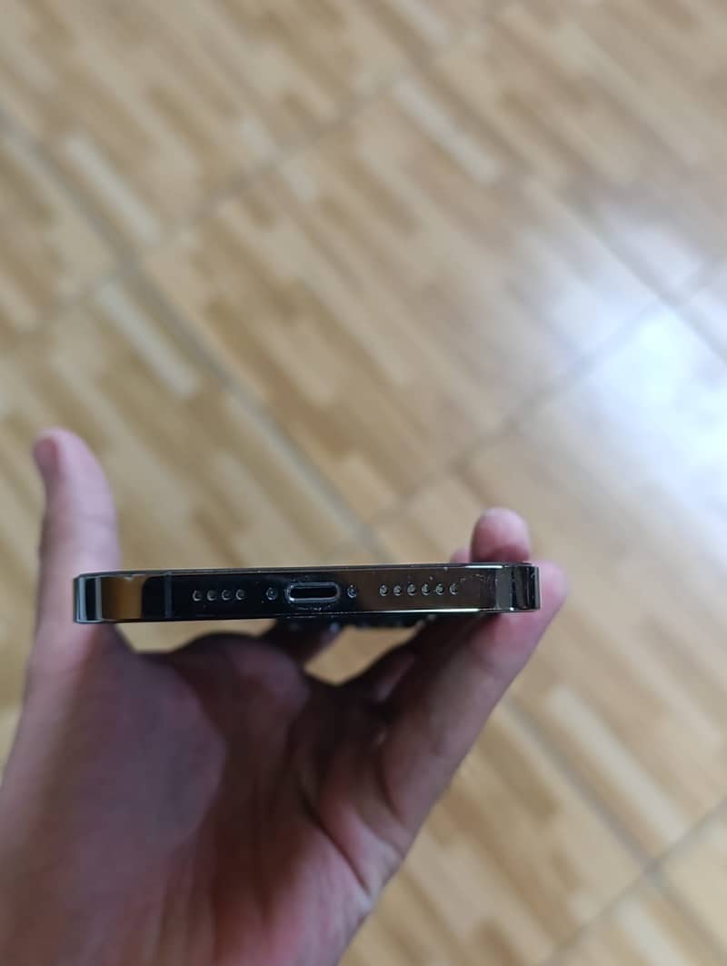 Apple iPhone 13 Pro Max 4