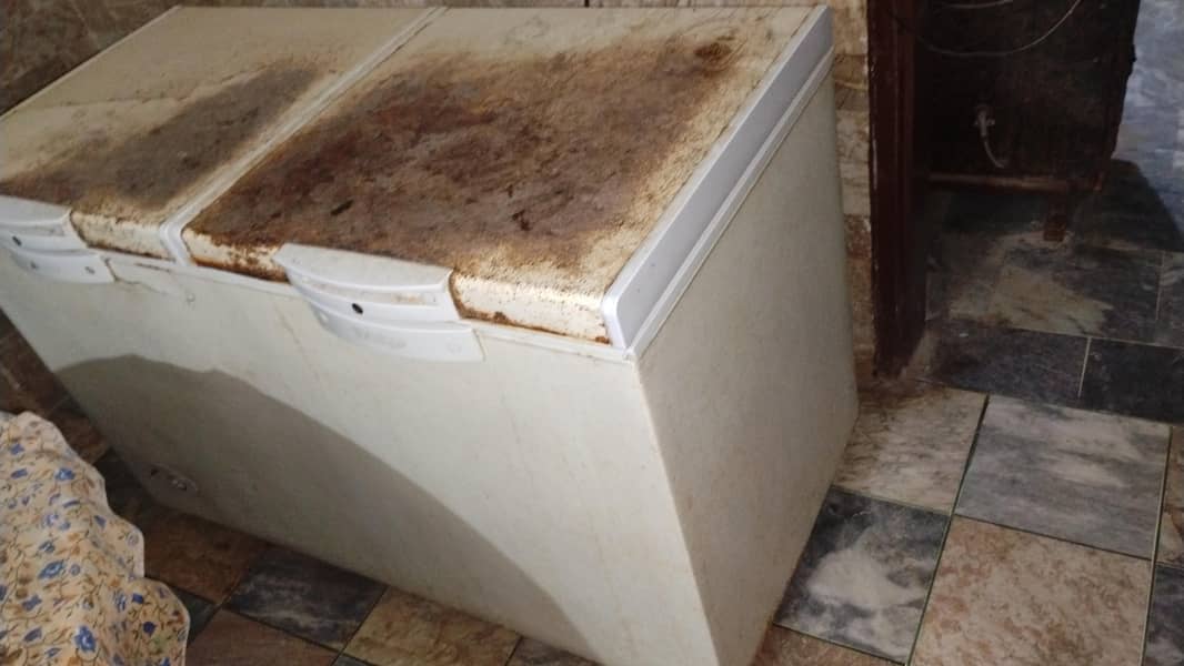 Waves Double Door Deep Freezer 0