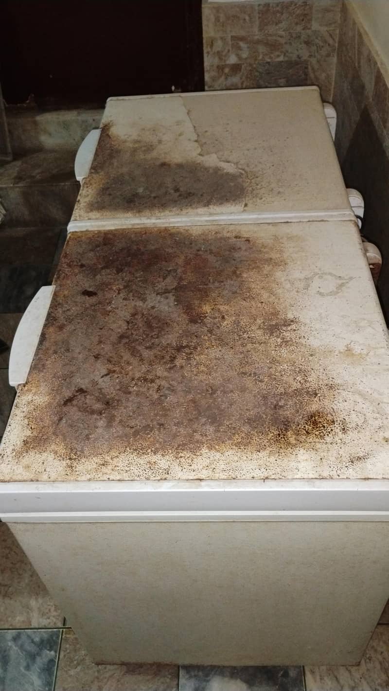 Waves Double Door Deep Freezer 1