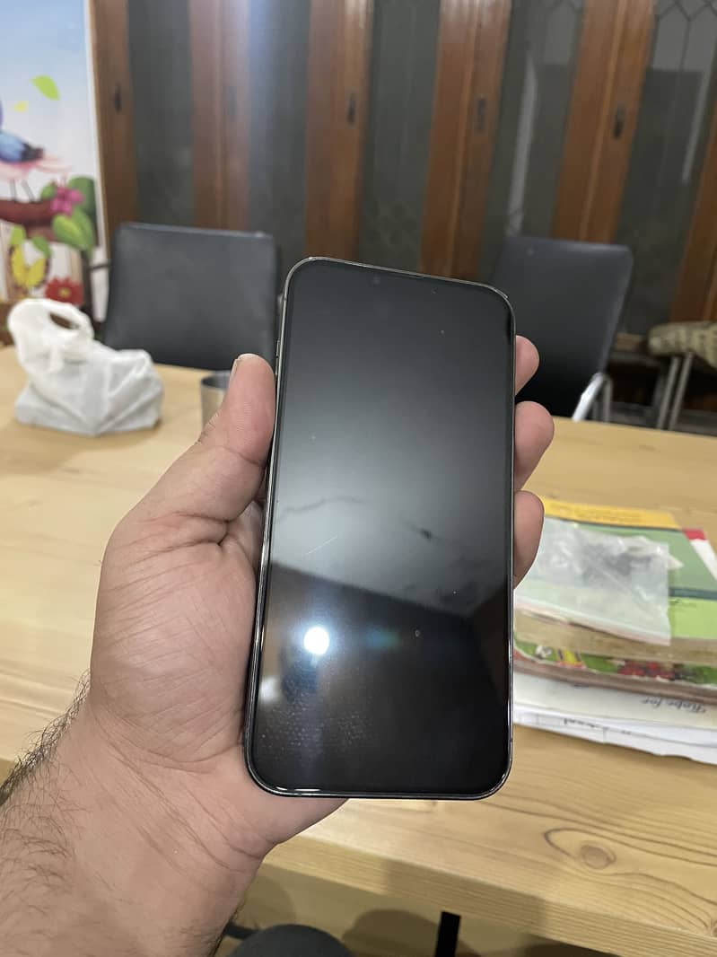 Apple iPhone 13 Pro Max 1