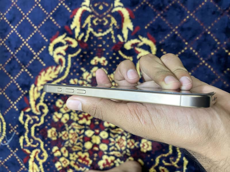 Apple iPhone 16 Pro Max 1