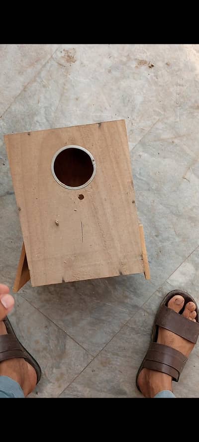 Nesting box for birds