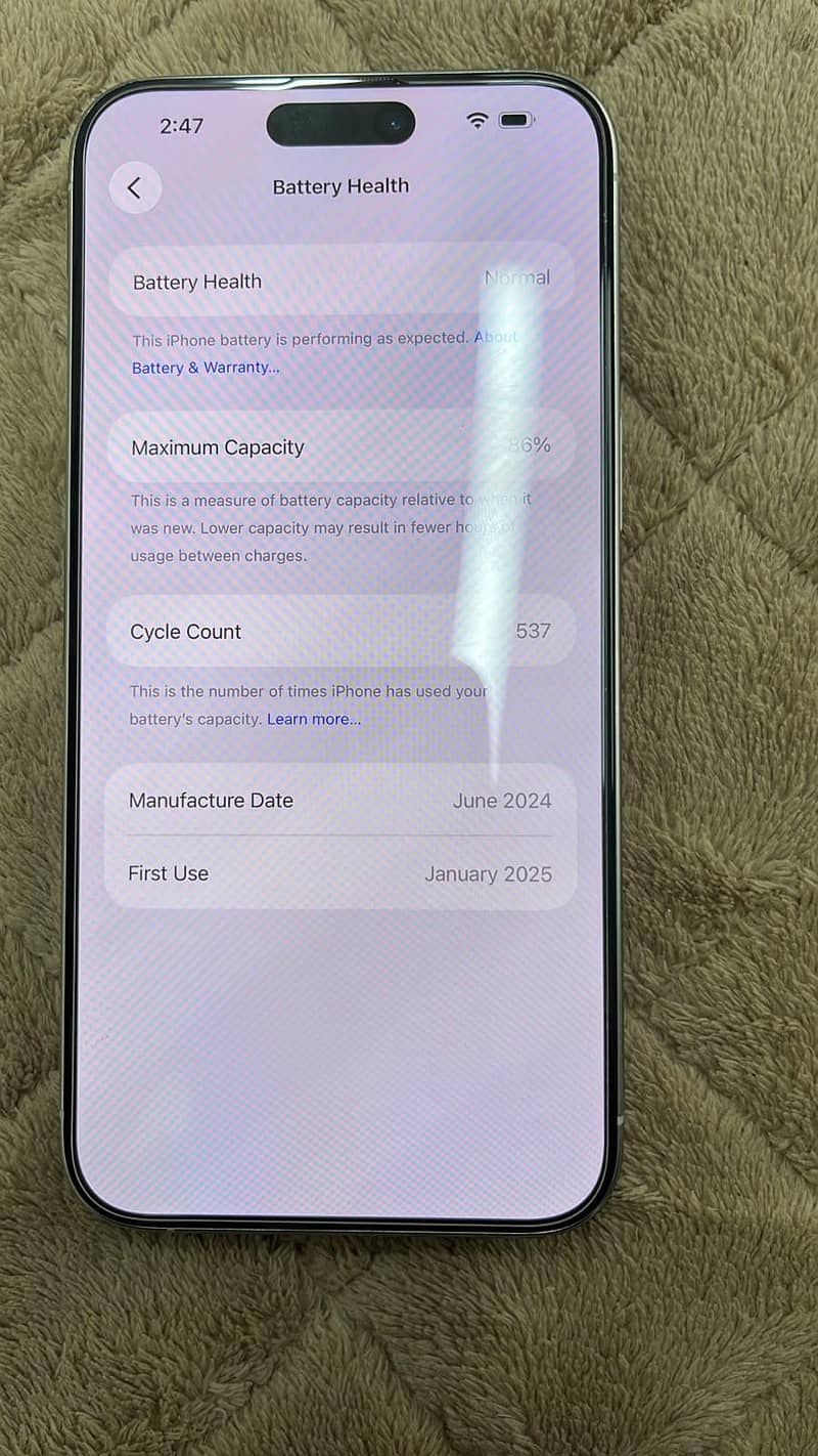 Apple iPhone 15 Pro Max 1