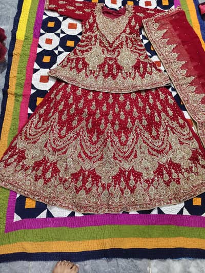 bridal lehenga /barat Drees in Deep Red & heavy gold Embroidery