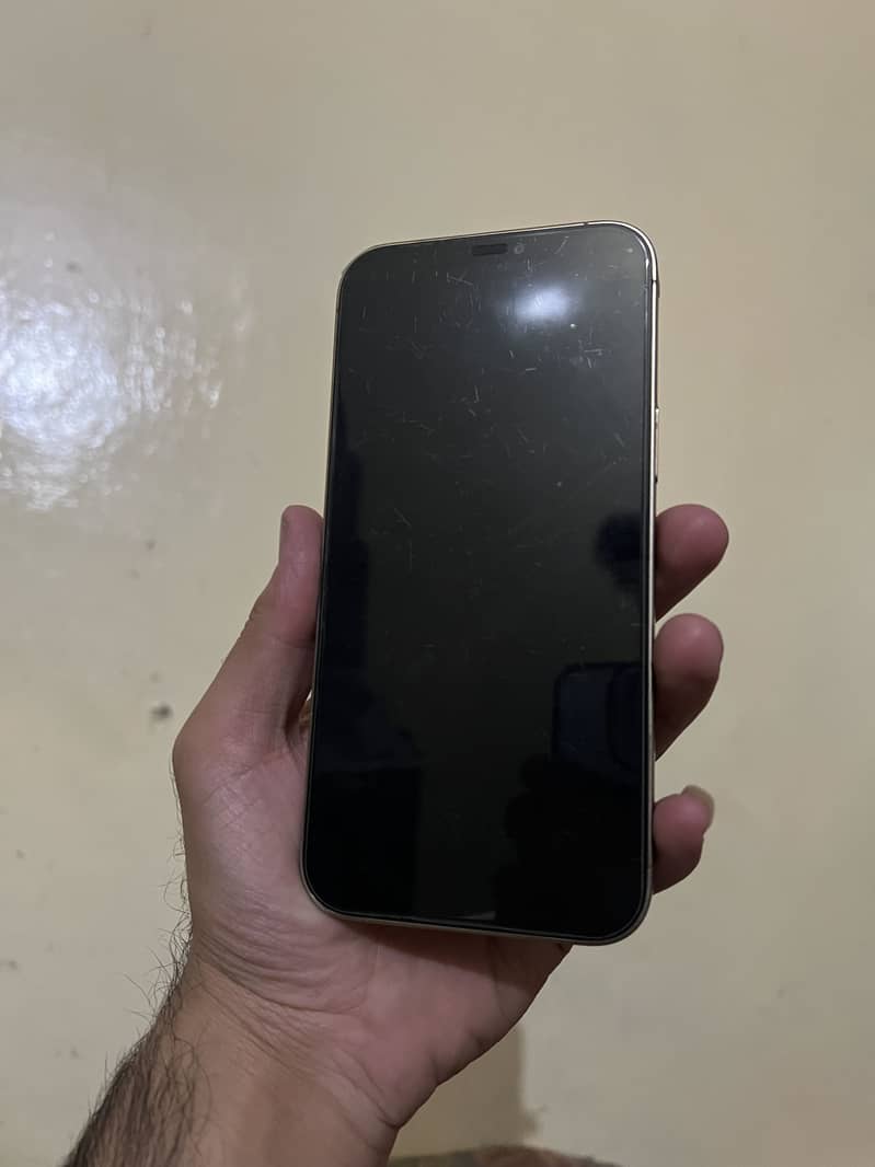 Apple iPhone 12 Pro Max 1
