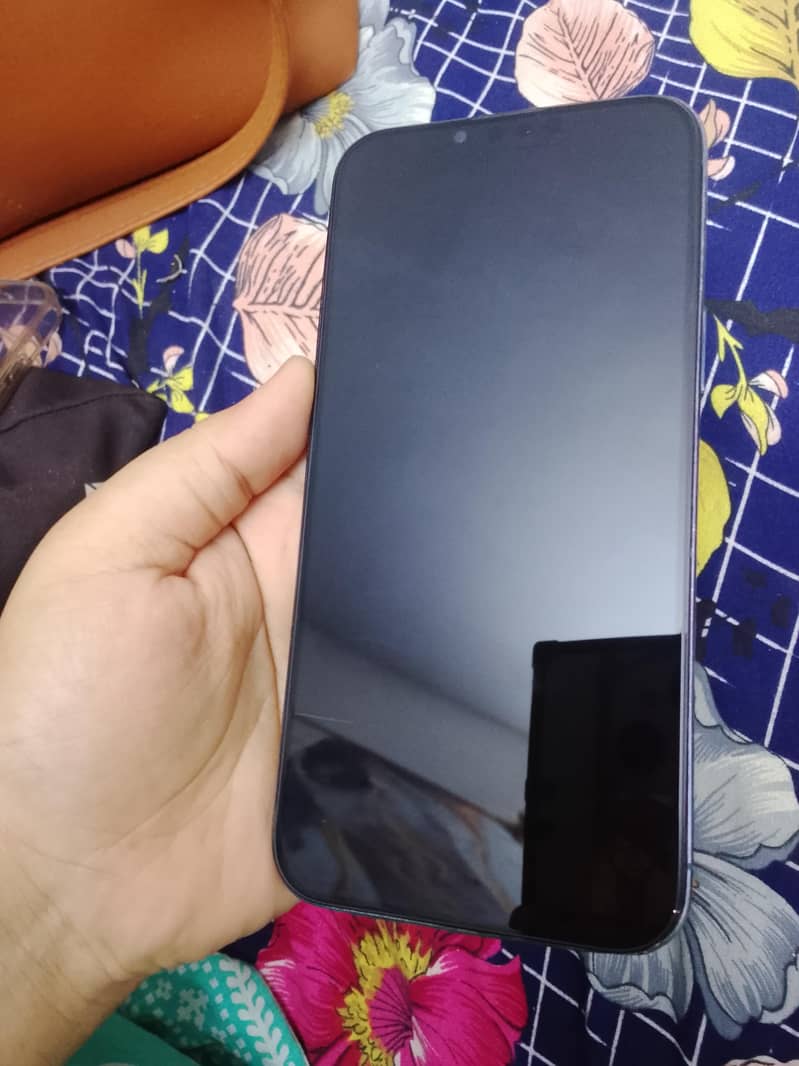 Apple iPhone 13 Pro Max 1