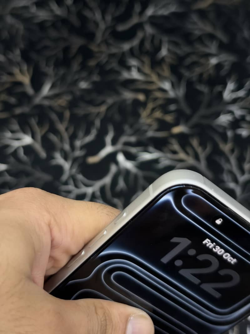 Apple iPhone 17 Pro Max 12