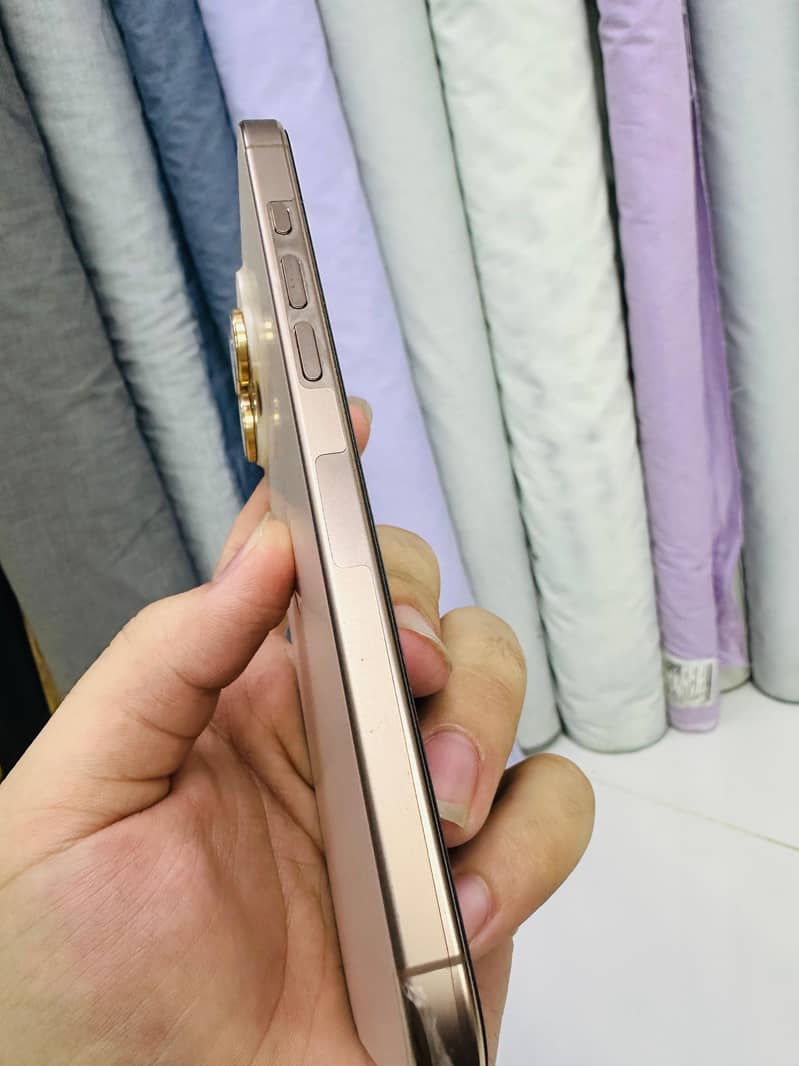 Apple iPhone 16 Pro Max 1