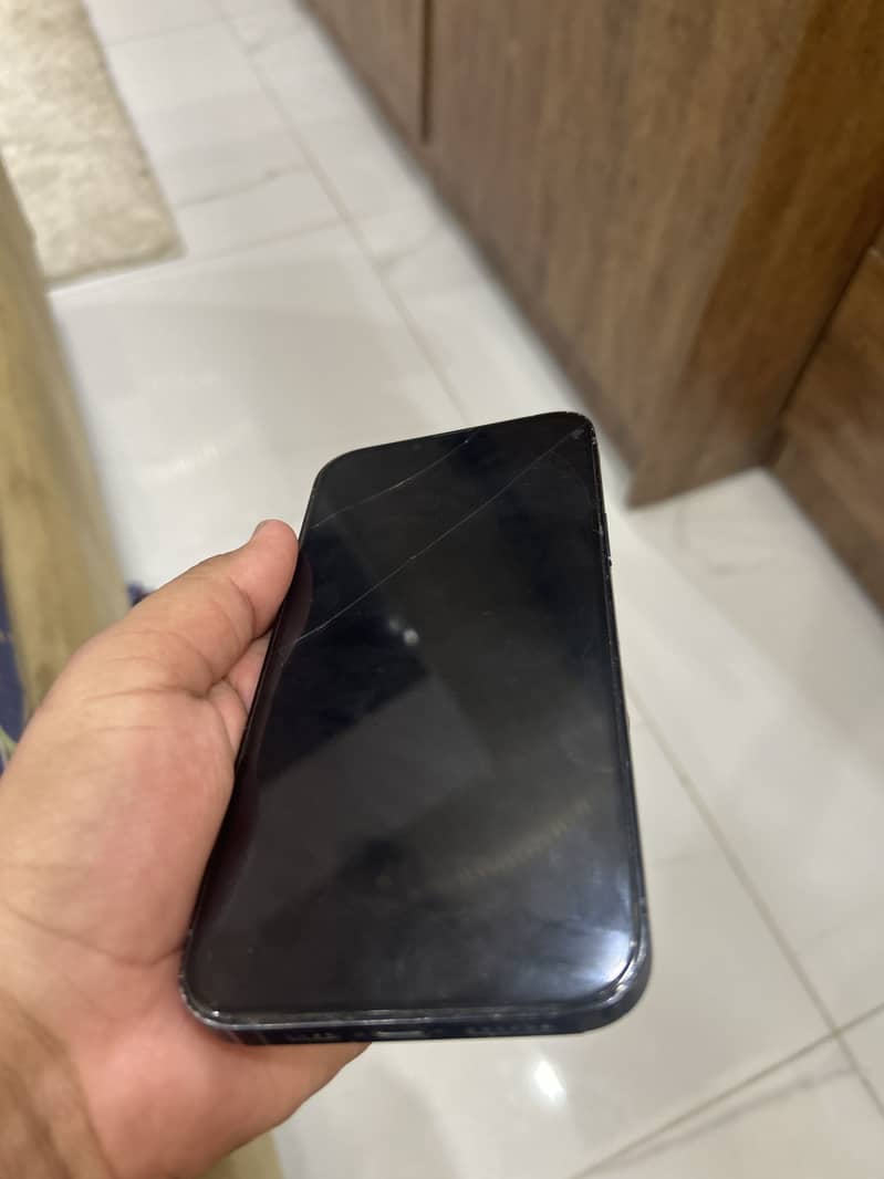 Apple iPhone 13 Pro Max 1