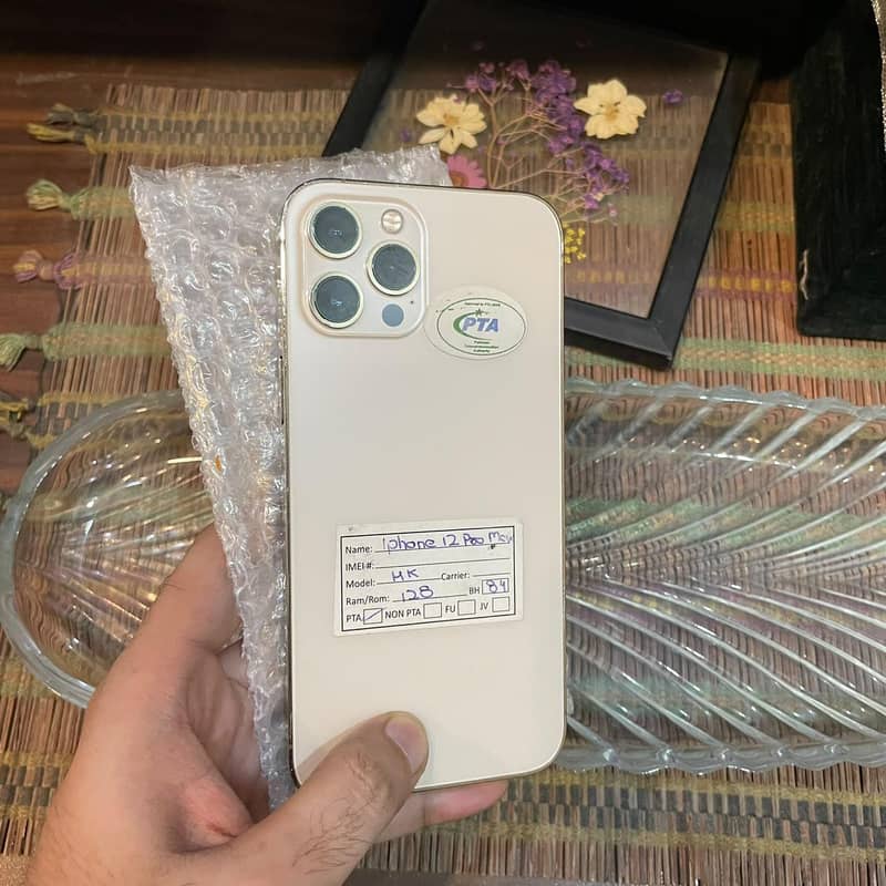 Apple iPhone 12 Pro Max 1