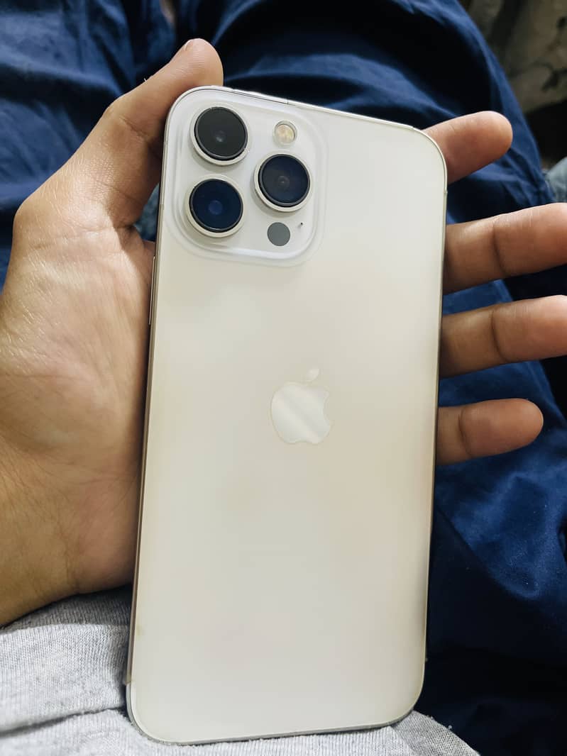 Apple iPhone 13 Pro Max 0