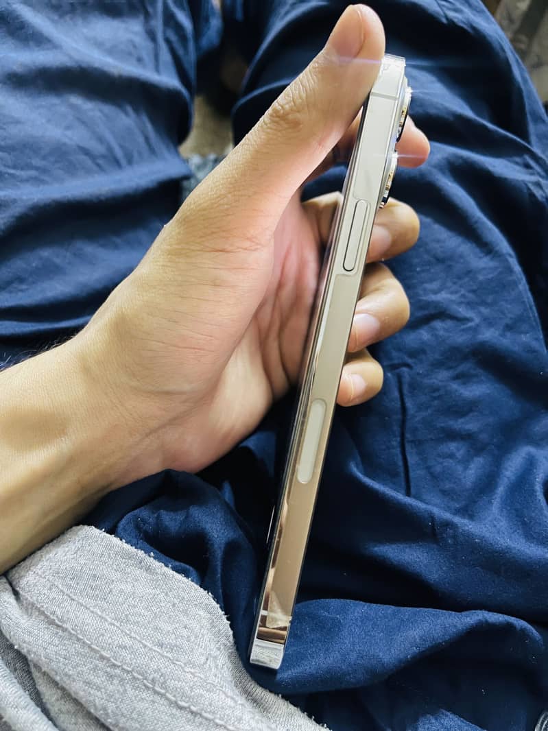 Apple iPhone 13 Pro Max 1
