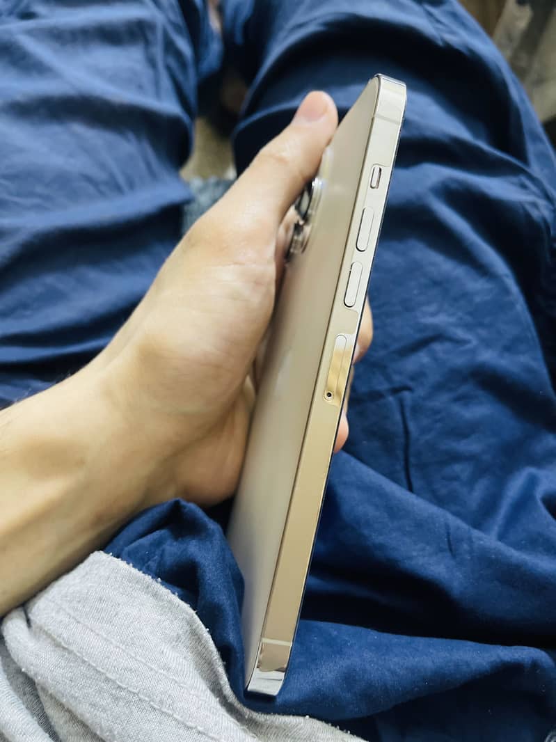 Apple iPhone 13 Pro Max 3