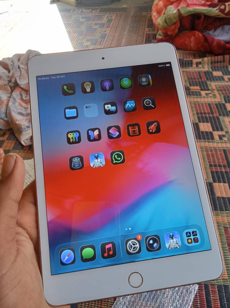 ipad mini 5 only 0