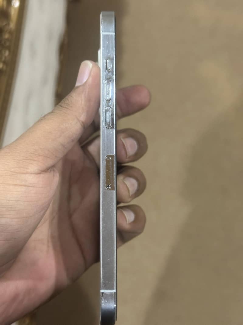 Apple iPhone 12 Pro Max 1