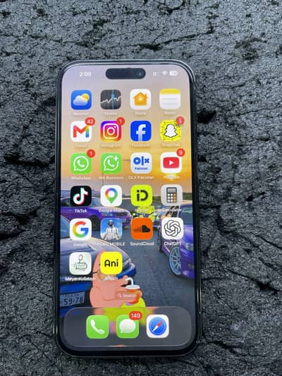 Apple iPhone 14 Pro Panal