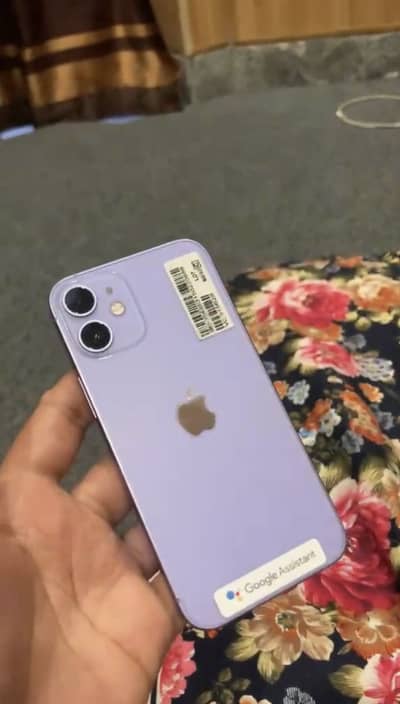 Apple iPhone 12 mini