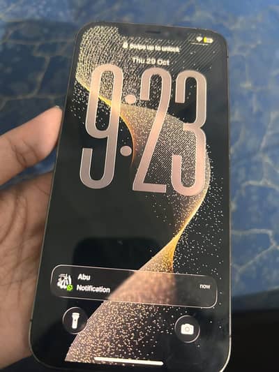 Iphone 12 pro max