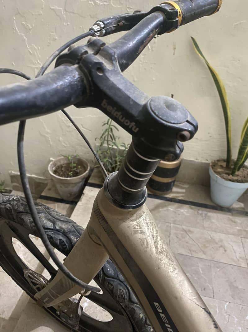 Beidudfu cycle 1