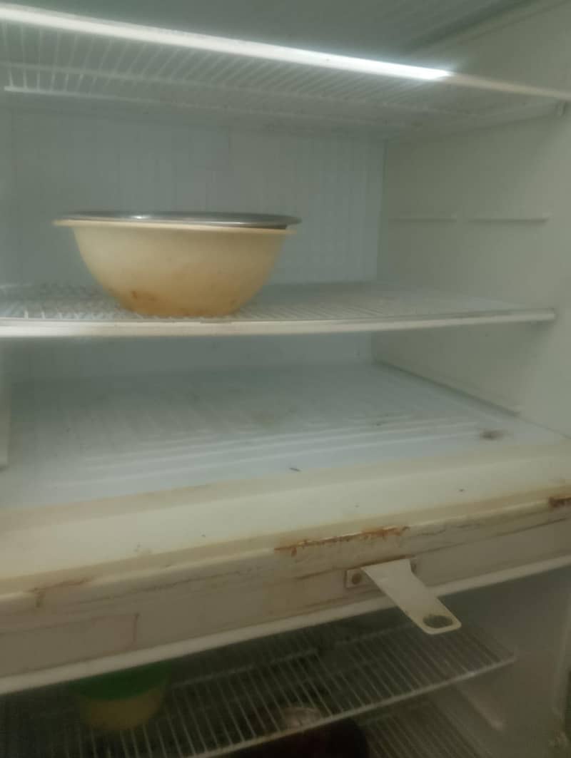 fridge 4