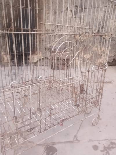 hens parret cage