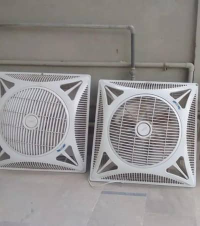 RICO FAN 2 PICE