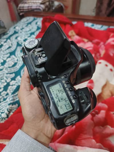 canon 40d/50mm 1.8 lens dslr