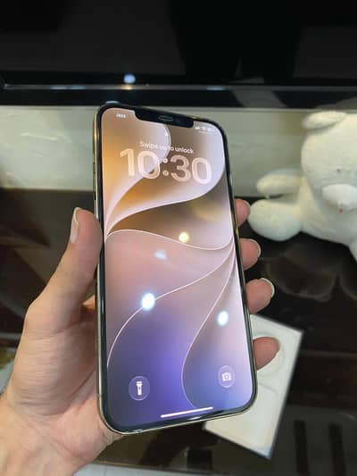 Apple iPhone 12 Pro Max
