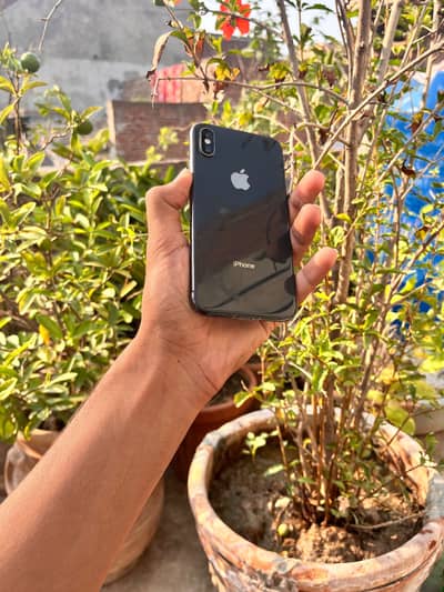 iphone x official PTA approved