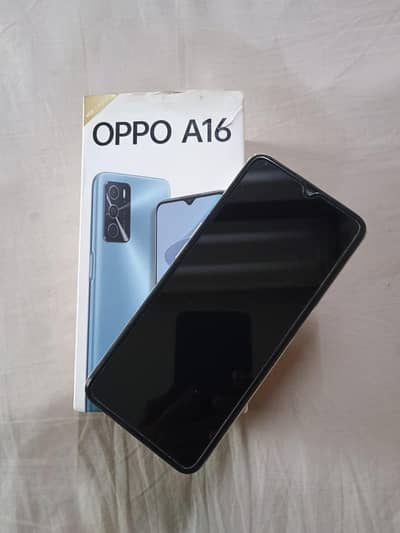 OPPO A16