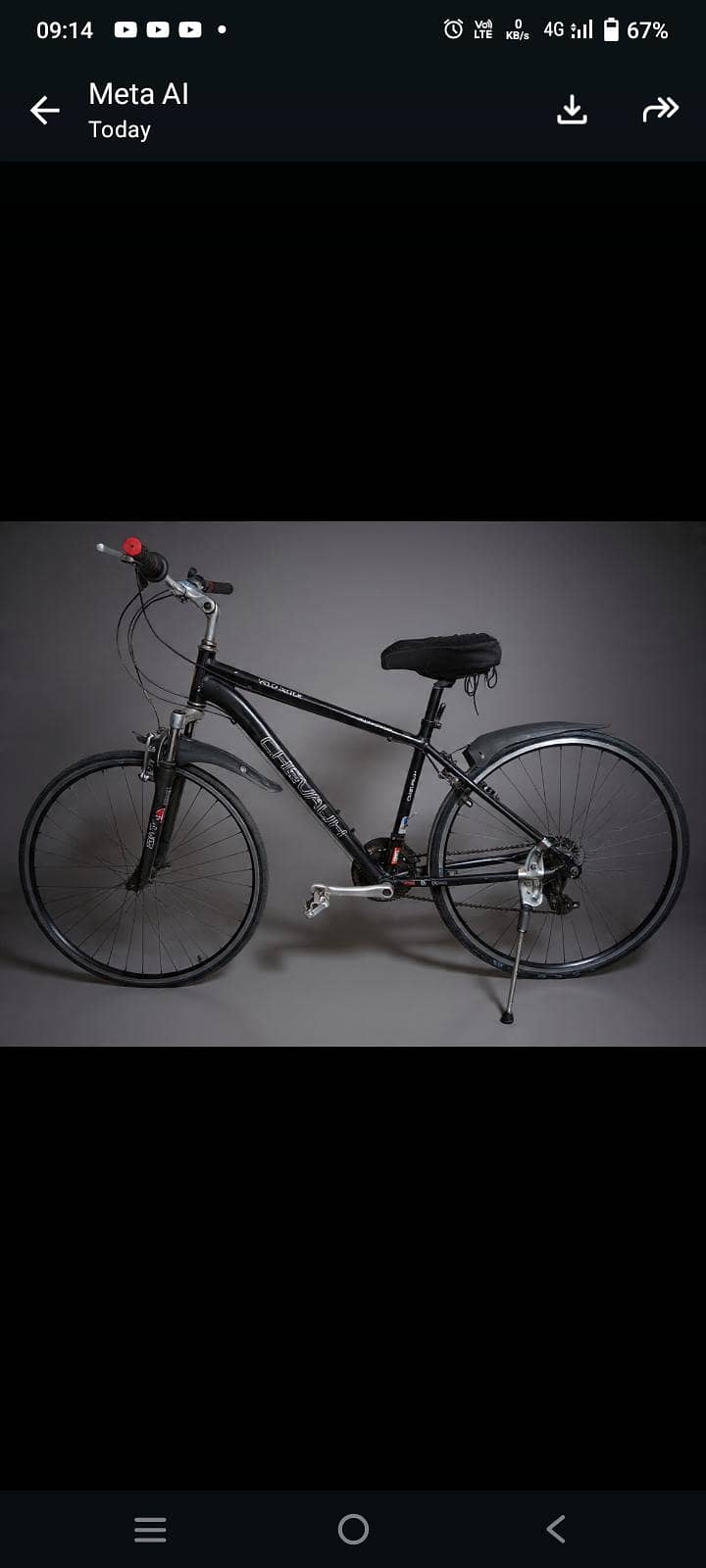 bicycle 0