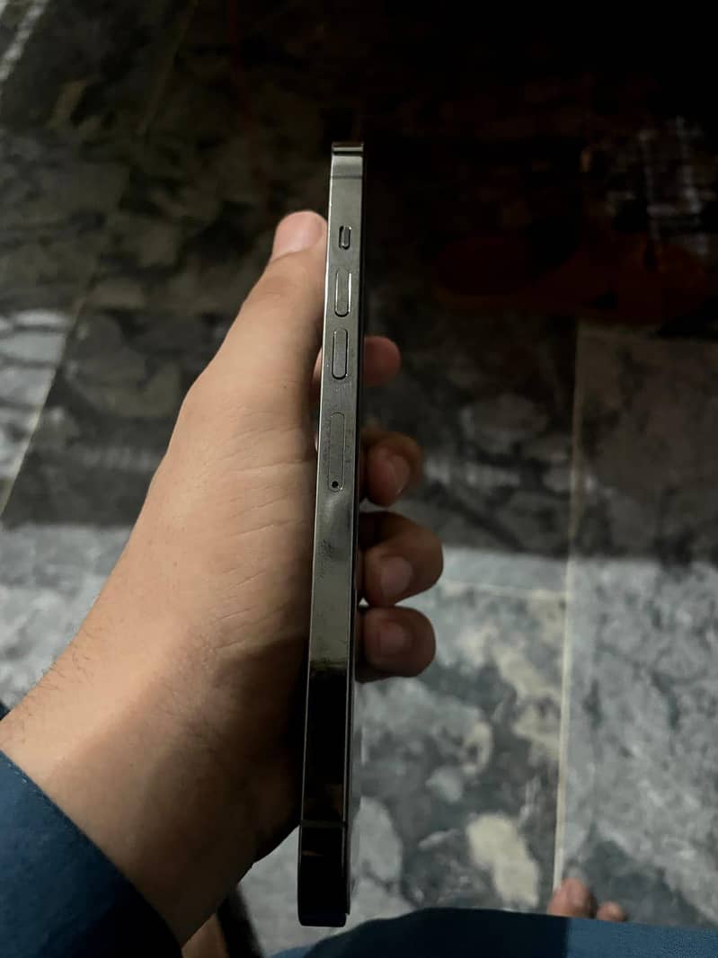 Apple iPhone 13 Pro Max 1