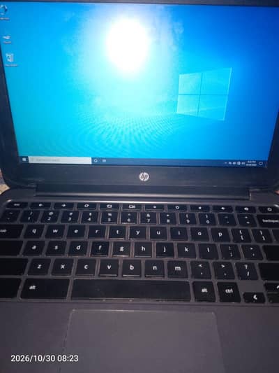 hp chromebook