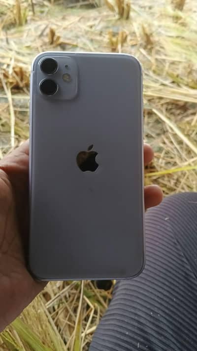 Apple iPhone 11