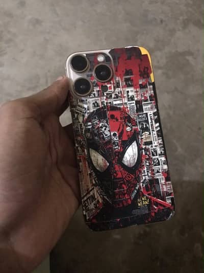 iPhone XR Coverted in 13 Pro