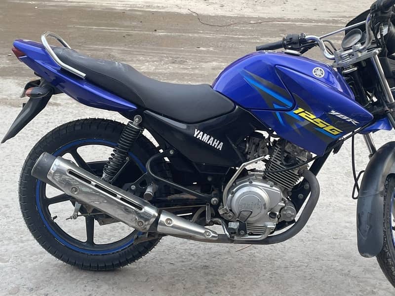 Yamaha YBR 6