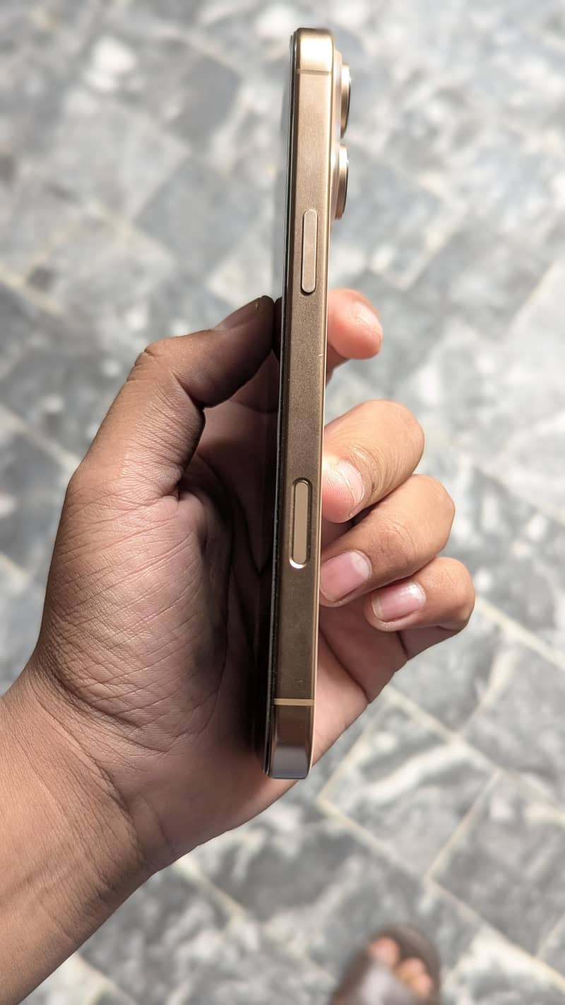 Apple iPhone 16 Pro Max 1