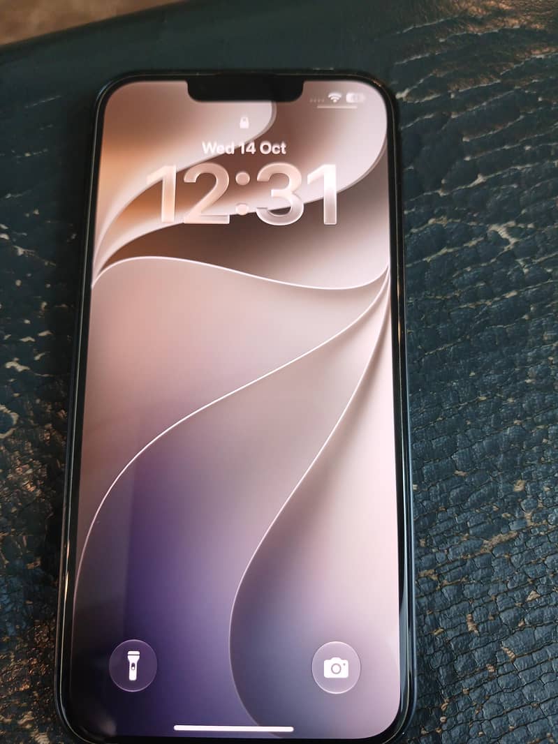 Apple iPhone 13 1