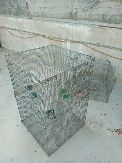 Cages Big Size Pinjra