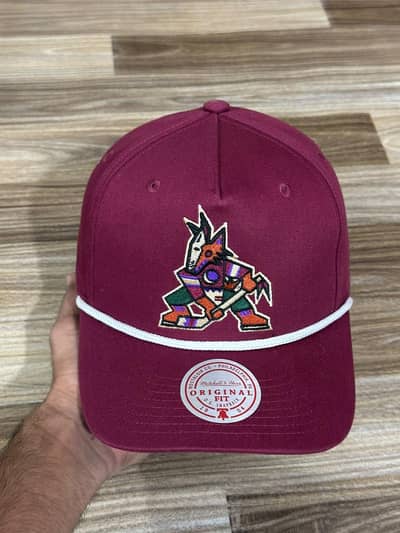 thrifted branded caps