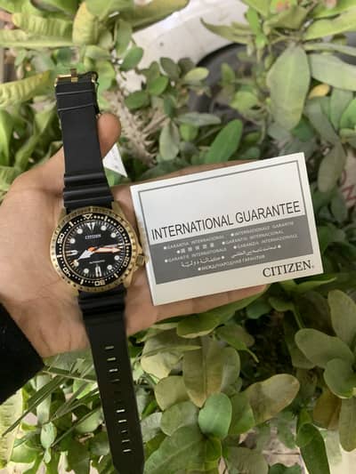 Luxury watches