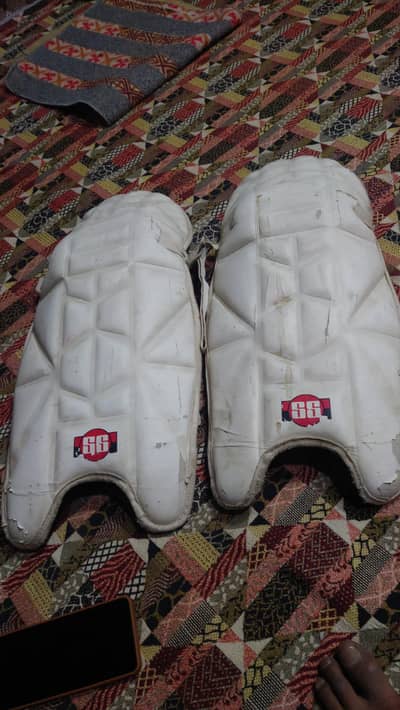 SS Cricket Wicket Keeping Pads - Quetta