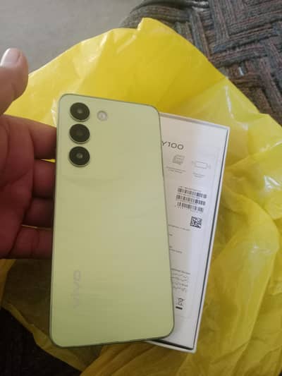 Vivo Y100 8+8 256