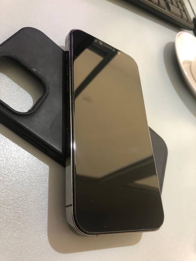 Apple iPhone 12 Pro Max 1