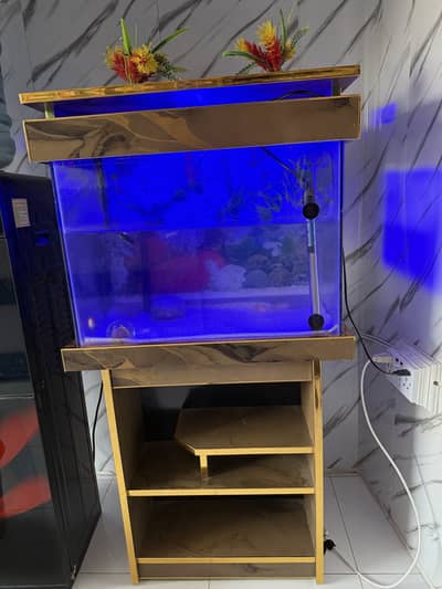 Fish Aquarium