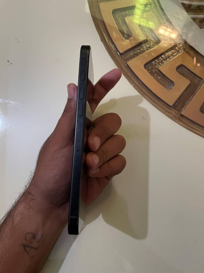 Apple iPhone 16 Pro Max 1
