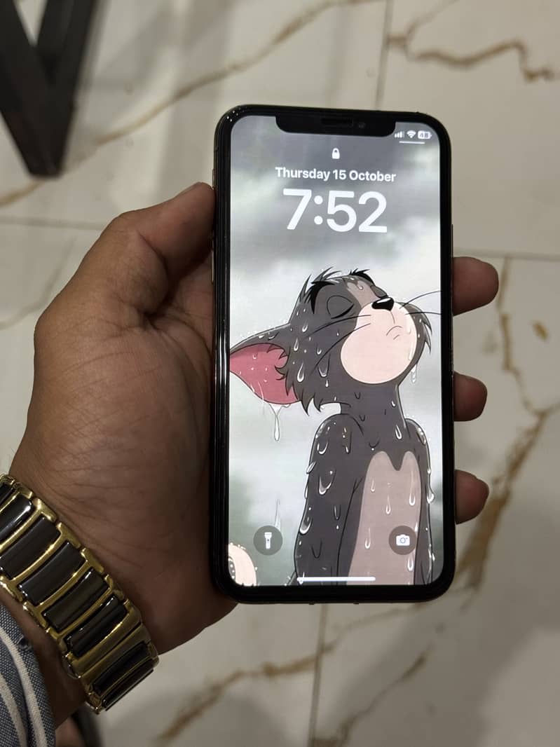 Apple iPhone XS 1
