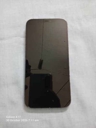 Apple iPhone 12 Pro Max